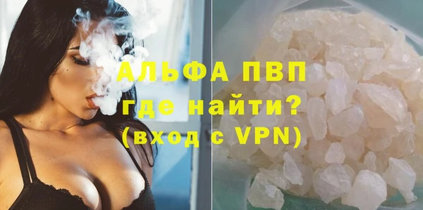 трава Няндома
