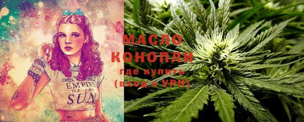 трава Няндома
