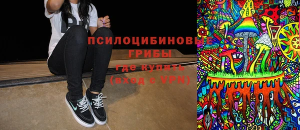 бошки Бикин