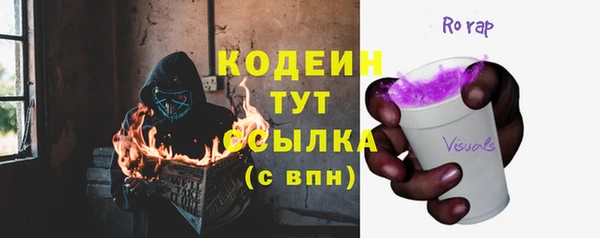 трава Няндома