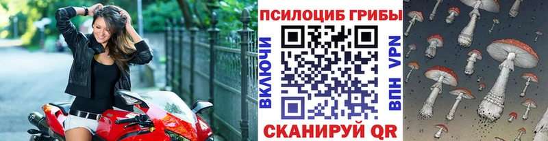Псилоцибиновые грибы MAGIC MUSHROOMS  Райчихинск 
